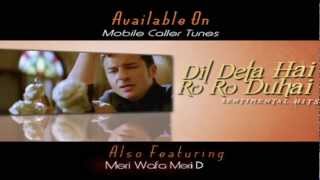 Collection of Sentimental Hits  Dil Deta Hai Ro Ro Duhai [upl. by Ilan]