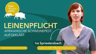 Afrikanische Schweinepest Wieso braucht es eine Leinenpflicht  HMLU [upl. by Melly]