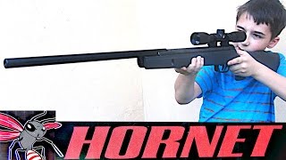 Gamo Hornet 177 Cal Air Rifle with RobertAndre [upl. by Sacul]