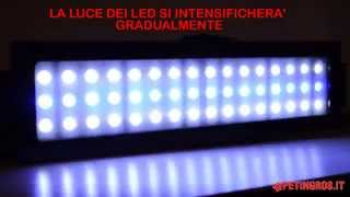 Plafoniera a Led per Acquario LedSystem per acquari dacqua dolce e marina [upl. by Anselmo69]