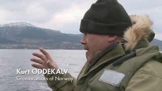 Farmed Norwegian Salmon World’s Most Toxic Food [upl. by Grover350]