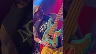 Frenzal Rhomb  Michael Dallinger Bass Solo [upl. by Arrek]