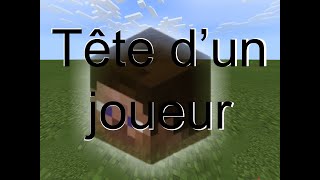 Se donner une tête de joueur dans Minecraft java édition [upl. by Arreit658]