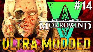 Lets Play Modded Morrowind  The Adventures Of Qa Dojetta  14 [upl. by Euqinue]