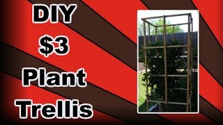 DIY Plant Trellis [upl. by Egres]