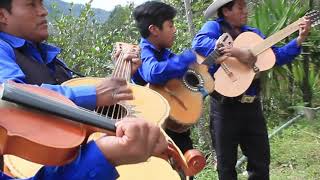 El pato asado  Canción ranchera  Sierra de Zongolica  Altepetlatzotzonke Músicos de la Sierra [upl. by Zuliram]