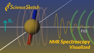 NMR spectroscopy visualized [upl. by Nelyaw939]