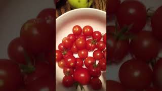 Cherry Tomatoes some are Split food tomatoes seeds [upl. by Ardnazxela]