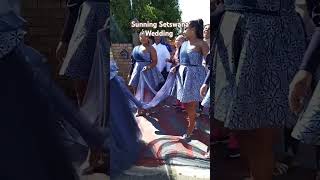 Dream Tswana Wedding wedding beautiful elegant bride steps culture attire viralvideo [upl. by Elder112]