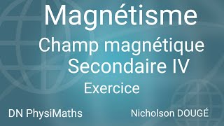 Champ magnétique  Exercice  DN PhysiMaths [upl. by Danczyk226]