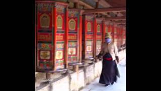 Prostrating Tibetan Pilgrims [upl. by Chaing]