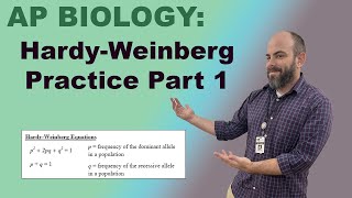 AP Biology  Hardy Weinberg Practice Problems  Part 1 [upl. by Olimreh]