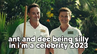 ant and dec being silly in im a celebrity 2023 [upl. by Gonsalve797]