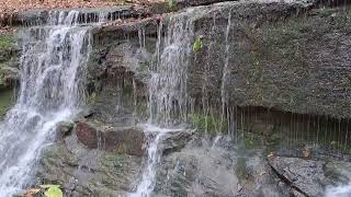 November 15 2024  Jackson Falls  Natchez Trace [upl. by Yasnyl]