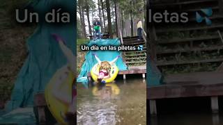 UN DÍA NORMAL EN LAS PILETAS  A day in the pool 💦 humor risa viral funny funnyvideo comedia [upl. by Miyasawa544]