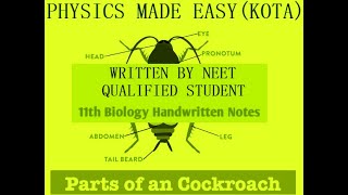 PART  2 NEET BIOLOGY REVISION NOTES COCKROACH ROUNDWORM FLATWORM TAPEWORM ASCARIS FOR NEET3 [upl. by Ahsilem]