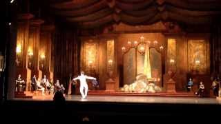 SLEEPING BEAUTY ACT 3 PRINCE BALLET SOLO  MALE BALLET VARIATION [upl. by Valida]