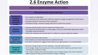 AQA ASA LEVEL BIOLOGY  ENZYMES INHIBITORS DIGESTIVE ENZYMES [upl. by Esikram]