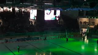 Bietigheim Steelers Einlaufshow 20212022 [upl. by Yevreh]