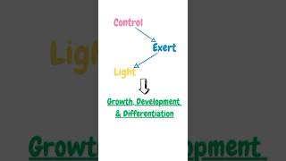 Photomorphogenesis biology youtube biotechnology science plantphysiology pritiduhanofficial [upl. by Terchie]