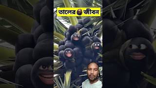 তালের জীবনে 😂  funnyvideo comedyshorts [upl. by Anigar401]