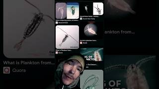 Copepods and illuminati coincidence [upl. by Aidas596]