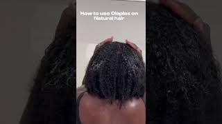 The correct order to use Olaplex on Type 4 natural hair olaplex curlyhair type4hair viralvideo [upl. by Isawk]