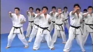 Kyokushin karate encyclopedia 1 [upl. by Lhary]