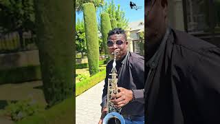 Anita baker  Same Ole Love Sax Cover Olujazz [upl. by Nairrad]