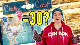 Unheated Predator Proof Extreme Cold Coop [upl. by Marie-Ann]