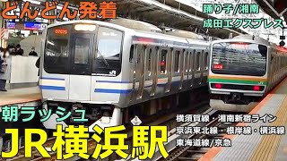 JR横浜駅🚃どんどん電車が発着！●特急 湘南・踊り子・成田エクスプレス 等／朝ラッシュ 東海道線・横須賀線・京浜東北線・根岸線・湘南新宿ライン【JR東日本】 [upl. by Carmen]