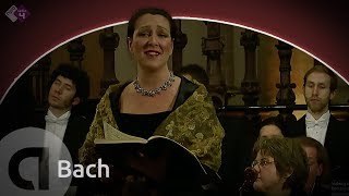 Bach Weihnachtsoratorium BWV 248  Cantate no1  Combattimento Consort Amsterdam  Live [upl. by O'Conner457]