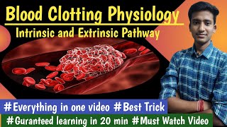 Intrinsic and Extrinsic Pathway  Blood Coagulation Physio LecturesMBBS hindi Ashish [upl. by Rasia]