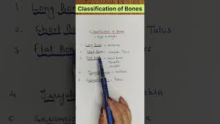 Classification of bones ll Anatomy osteology shorts youtubeshorts [upl. by Lseil]