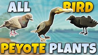 ALL BIRD PEYOTE PLANT LOCATIONS GTA 5 STORY MODE [upl. by Veron859]