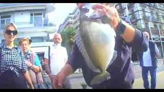 Gilthead bream rod fishing on the old seafront of Thessaloniki [upl. by Florina]