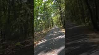 Fall in New England fall fallcolors leaves newengland travel hiking trails nature biketrail [upl. by Adam546]