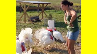 FUNNY Thanksgiving Turkey Fails amp Cooking Fails  Funny Videos 2019 [upl. by Ailel]