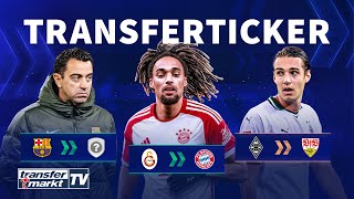 Bayern verpflichtet Boey  Xavi verkündet BarçaAus  StuttgartGerüchte um Neuhaus  TRANSFERMARKT [upl. by Eisoj787]