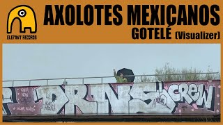 AXOLOTES MEXICANOS  Gotelé Visualizer [upl. by Xylina465]