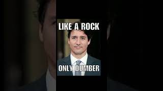 Justin Trudeau memes ￼meme funny justintrudeau [upl. by Amorita861]