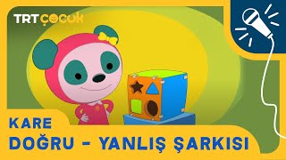 Kare  Doğru  Yanlış Şarkısı [upl. by Annis261]