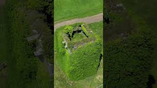 Ballynoran Castle Tipperary Ireland music drone nature shorts [upl. by Hagen965]