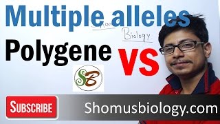 Polygenic inheritance CSIR NET  polygenic inheritance vs multiple alleles [upl. by Aihseyn617]