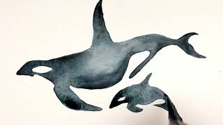 Chromatek Aqua Pens Orca Speed Paint Online Video Tutorials and Downloadable Template [upl. by Aimak]