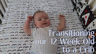 Transitioning our 12WeekOld to a Crib [upl. by Tarra951]