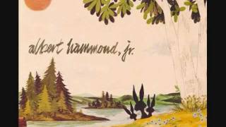 Blue Skies  Albert Hammond Jr [upl. by Orman]