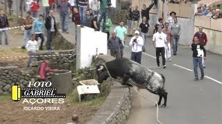 AS Melhores Touradas 2018  Parte 5  Ilha Terceira AÇORES [upl. by Lari]