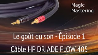 2024 HP DRIADE FLOW 405  Le goût du son 1 [upl. by Ertnom777]