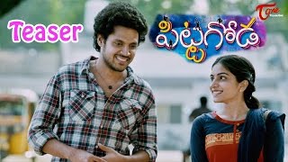 Pittagoda Telugu Movie Teaser  Viswadev Punarnavi  Pittagoda [upl. by Aihsat]